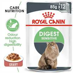 ROYAL CANIN Digestive Care Adult Wet Cat Food in Gravy